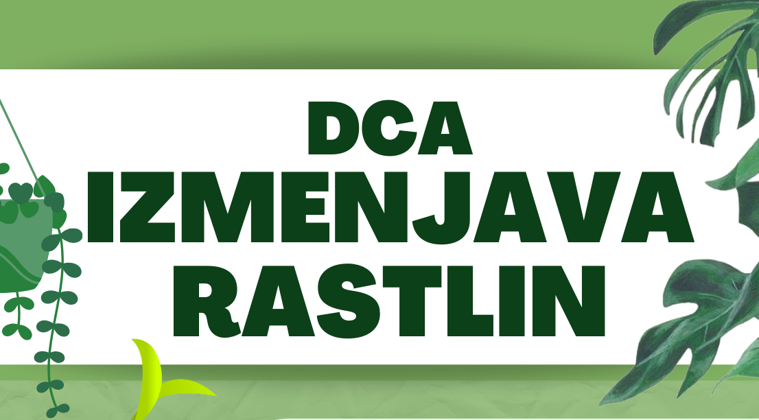 Read more about the article DCA Izmenjava rastlin