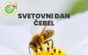 Read more about the article Svetovni dan čebel, 16. 5.