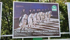 Read more about the article Kolesarjenje: Lipica in Vilenica