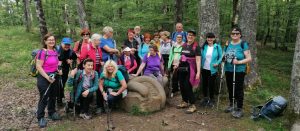 Read more about the article Mitski park Rodik