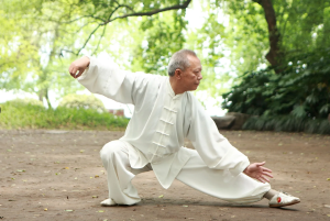 You are currently viewing Tai ji quan, 18. 11.