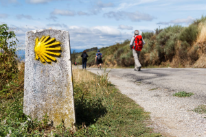Read more about the article Camino-Francoska pot, 11. 2.