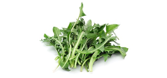 You are currently viewing Nabiranje regrata