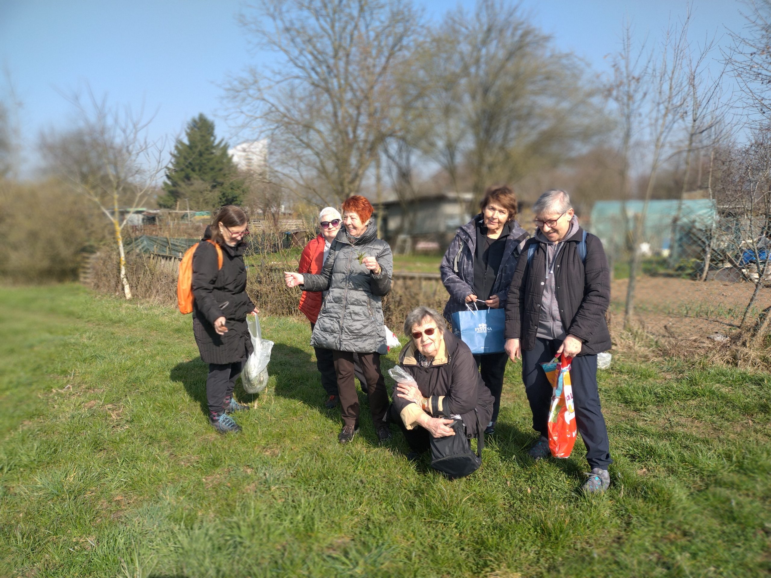 You are currently viewing Nabiranje regrata