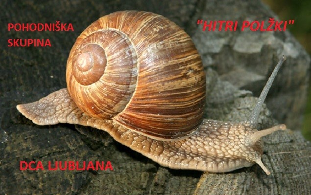 Read more about the article Pohod s Hitrimi polžki in Vandrovčki na