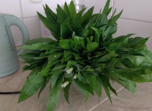 Read more about the article Nabiranje čemaža