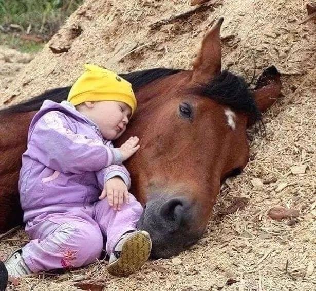 You are currently viewing Pogovori na poti k sebi