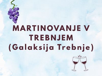 You are currently viewing DCA Martinovanje